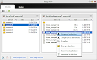 Client FTP gratuit Tesuji FTP